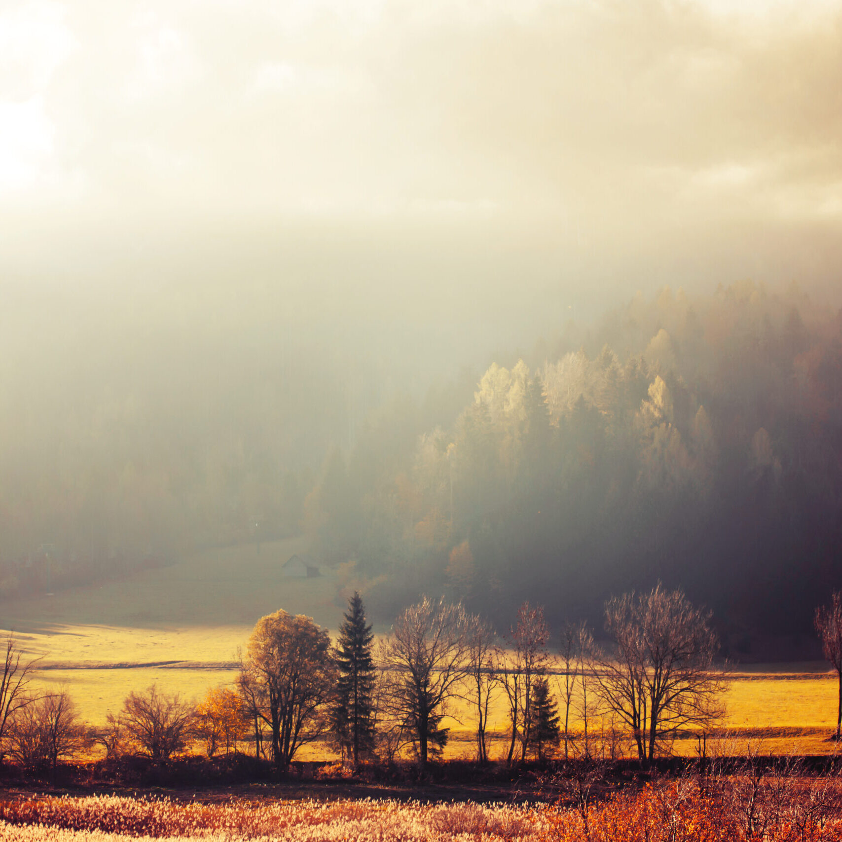 Misty morning in the Dolomites